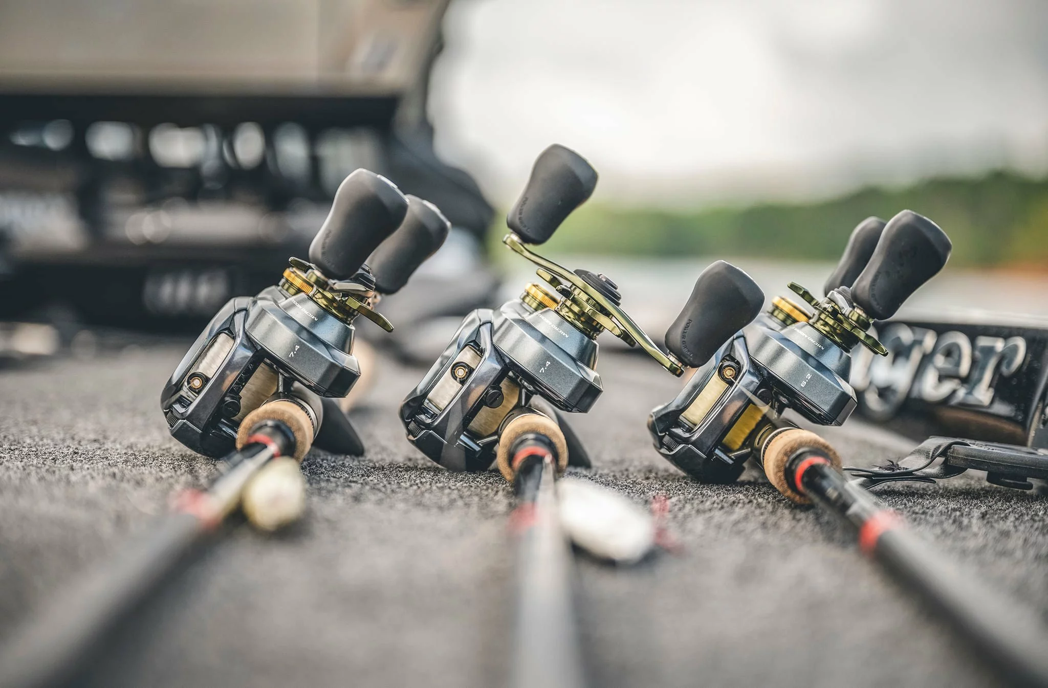 Aas en Voer Verkoop -Aas en Voer Verkoop 274811589 5576267775722346 5385924100289086030 n