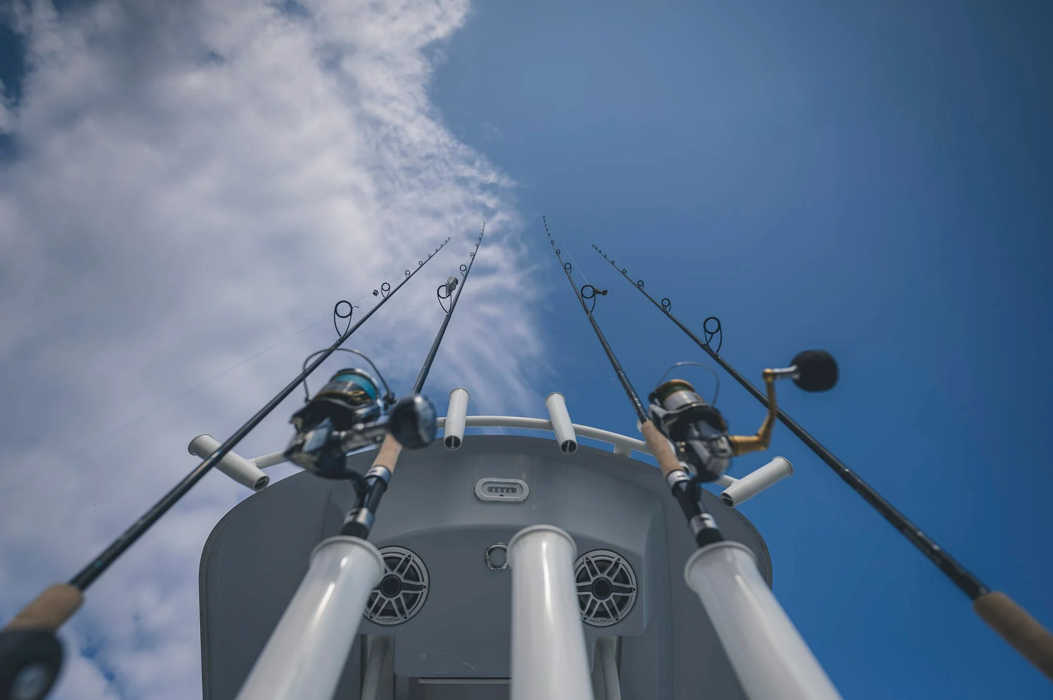 Aas en Voer Verkoop -Aas en Voer Verkoop 277677599 5667777076571415 8575872832742636557 n